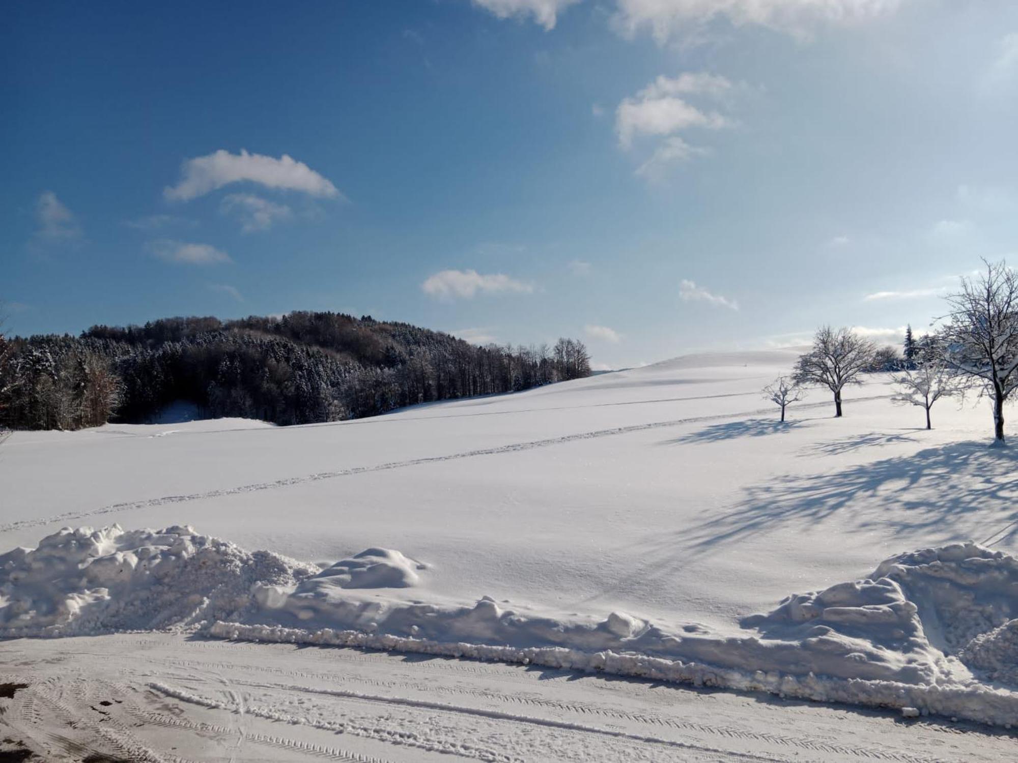 Biohof-Feichtinger Apartment เซลอัมมัวส์ ภายนอก รูปภาพ