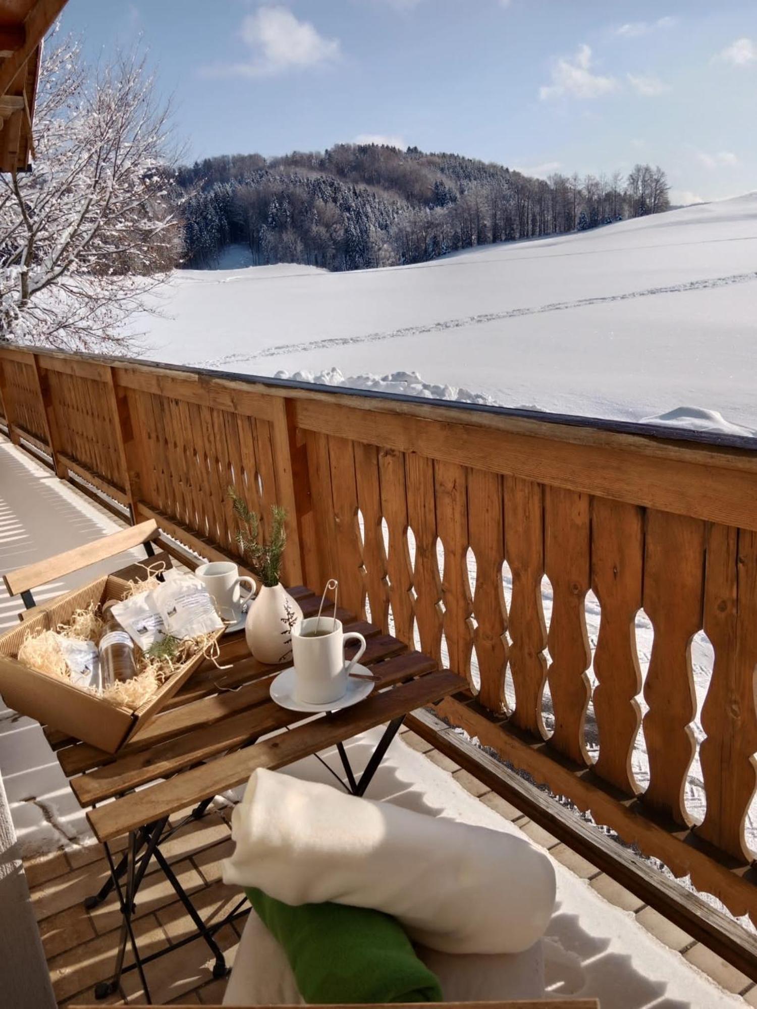 Biohof-Feichtinger Apartment เซลอัมมัวส์ ภายนอก รูปภาพ